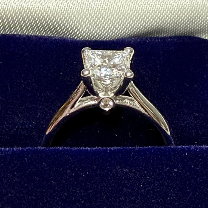 1.05 Carat Princess Diamond Cathedral Ring with Surprise Diamond