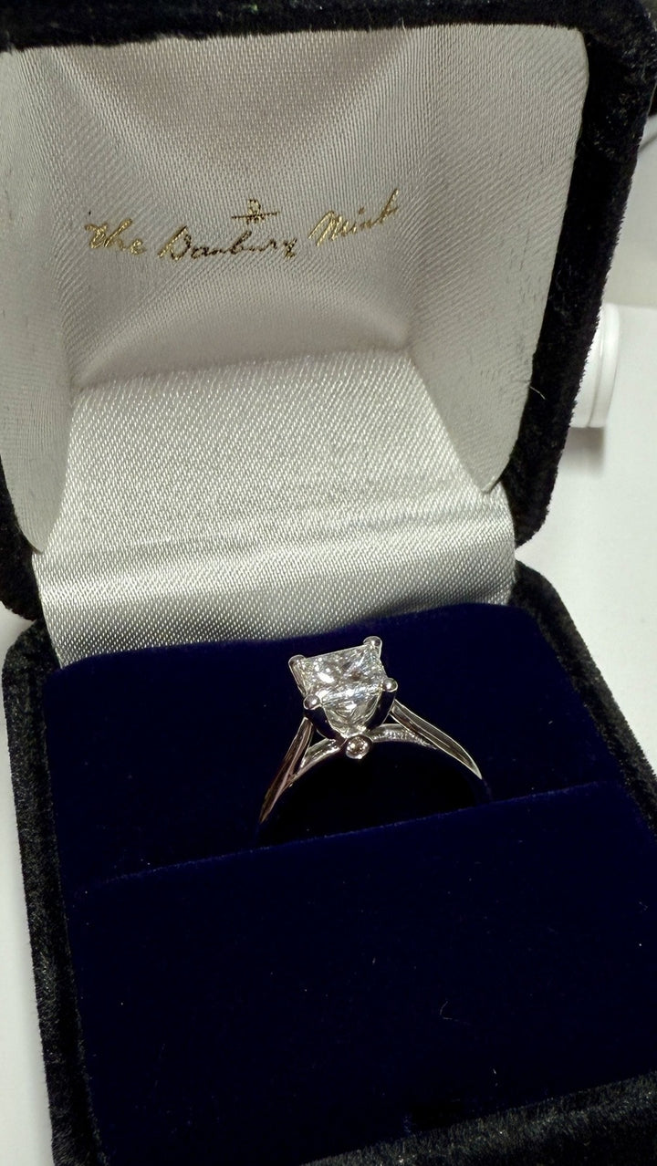 1.05 Carat Princess Diamond Cathedral Ring with Surprise Diamond