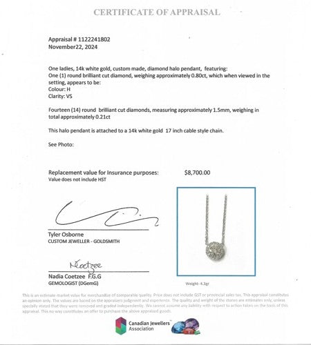 1.00 ct. Halo Pendant with Chain