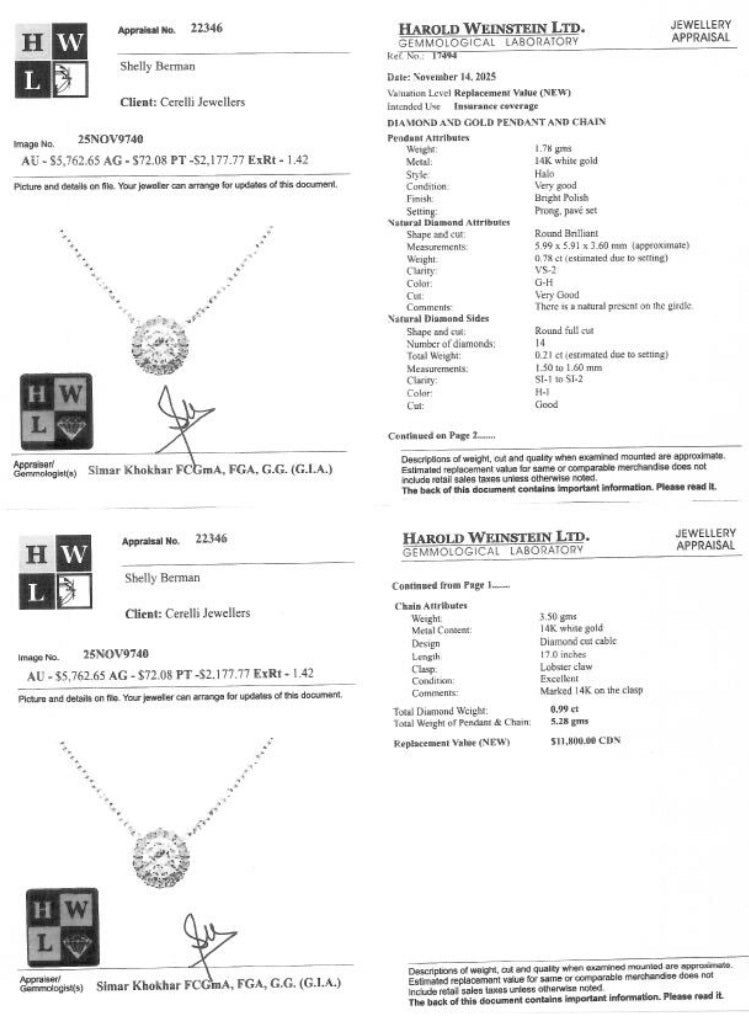 1.00 ct. Halo Pendant with Chain