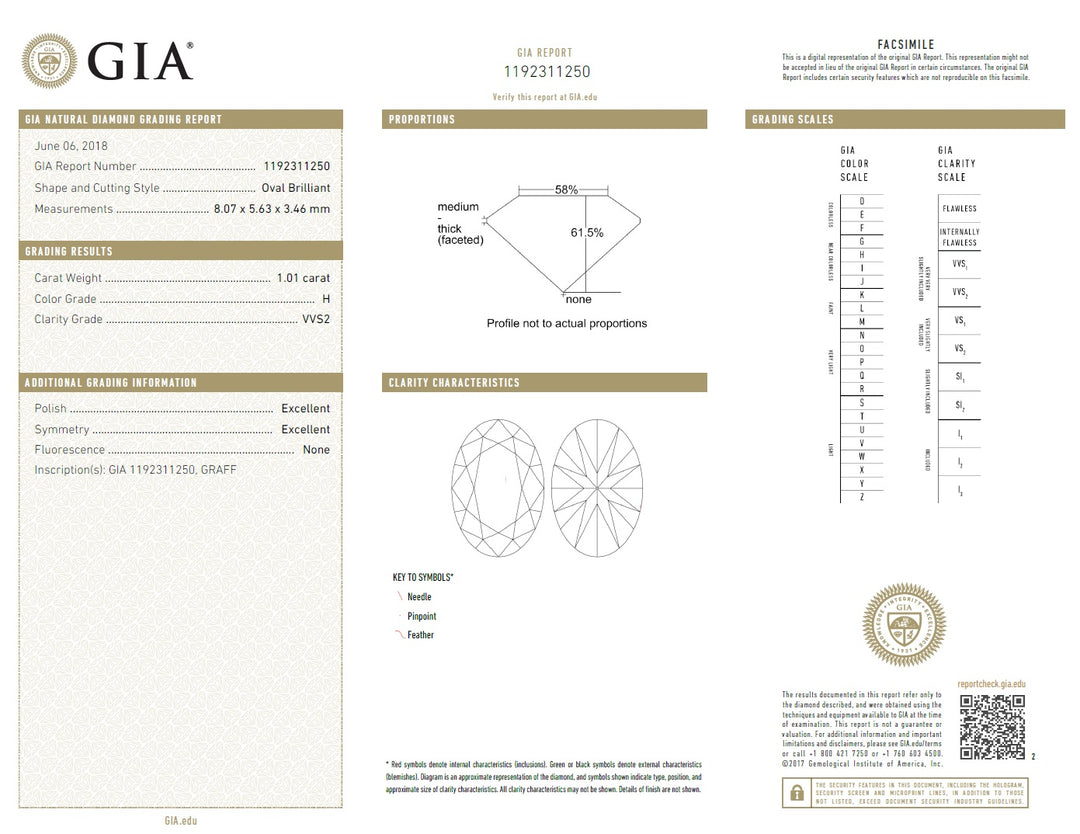 1.01 Carat, Natural, Oval Diamond Halo Ring